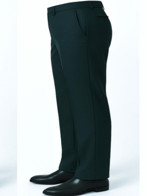 Regular feed Stylish formal Pant ( Sprink Green) photo review