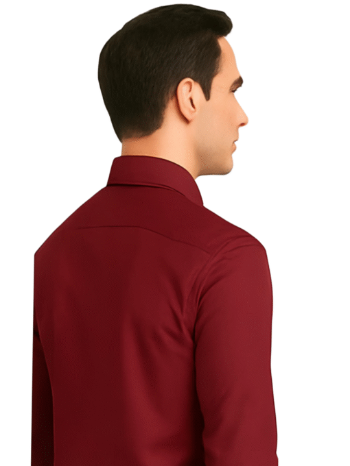 formal shirt i a professional look for men Shirt ( Mahroom ) - Image 3