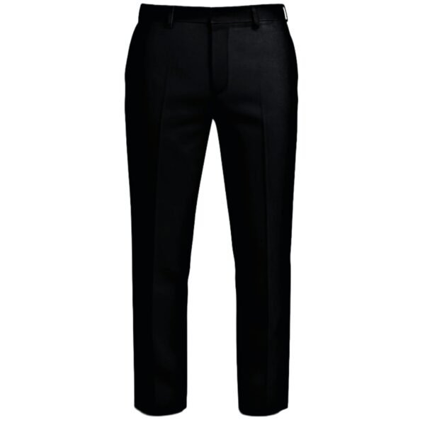 DK SHOPZON Regular fit Formal Pant For mens ( Black)