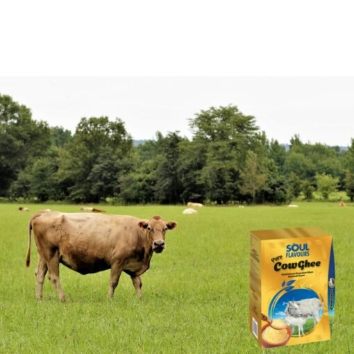 Modicare SOUL FLAVOURS Cow Ghee "A confluence of health, taste and culture" Ghee ( 1 ltr. ) - Image 5