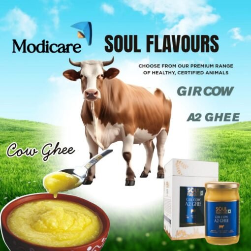Modicare 🔶 Soul Flavours Gir Cow A2 Ghee — Elixir of Life 🔶 500ml - Image 7