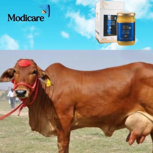 Modicare 🔶 Soul Flavours Gir Cow A2 Ghee — Elixir of Life 🔶 500ml - Image 4